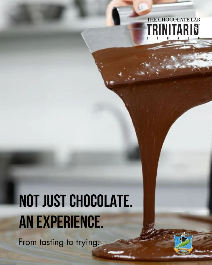 Chocolate Lab campaign artwork showing chocolate flowing from a scraper with the line Not just chocolate. An experience.
